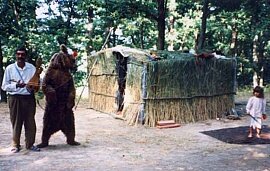 Перейти в галерею ...